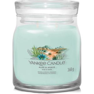 Yankee Candle Aloe & Agave Signature Medium Jar