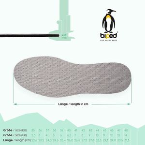 inlegzool voor voeten / optimum cushioning and support - sports shoe insoles \ inlegzolen voor frisse voeten - extra demping 37