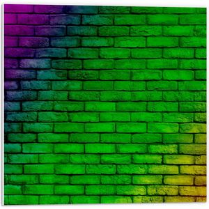 PVC Schuimplaat - Muur in Regenboog Kleuren - 50x50 cm Foto op PVC Schuimplaat (Met Ophangsysteem)