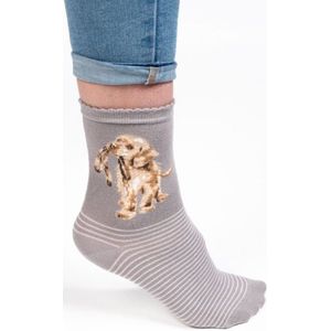 Wrendale Sokken - Hond (Grijs) 'Hopeful' Labrador sock