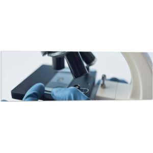 Vlag - Laboratorium - Apparaat - Microscoop - Handschoenen - 90x30 cm Foto op Polyester Vlag