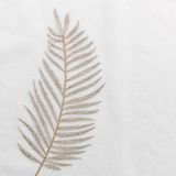 Douceur d'Intérieur - Palmeor - Gordijn - Goud - 140 x 240 cm, Polyester, Metalen Bladpatroon