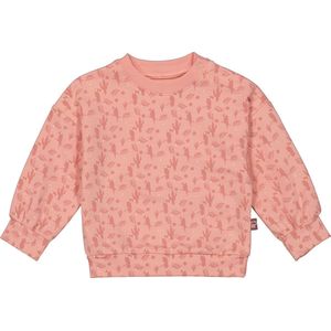 4PRESIDENT Sweater meisjes - Toucan AOP - Maat 50 - Meisjes trui