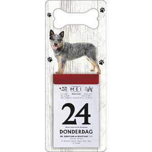 Scheurkalender 2024 Hond: australien cat dog