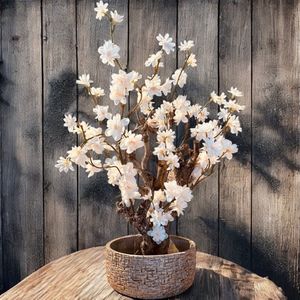 Seta Fiori - Kunst bloesemboom – Kunstboom – beige perzik creme - 50cm – Voor binnen – Cherry Blossom - Sakura