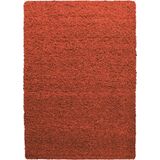 Ayyildiz - Life - Hoogpolig Vloerkleed - Terra - 200x290 cm