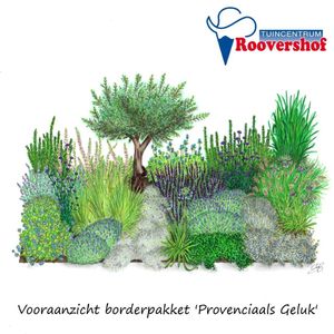 Borderpakket 'Provençaals Geluk' - mediterrane tuin - 56 planten - 9-10 m² - exclusief olijfboom