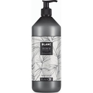 Black Professional - Blanc Volume Up Shampoo