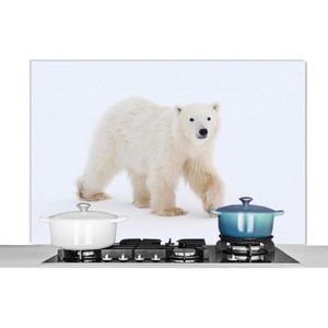 Spatscherm keuken 120x80 cm - Kookplaat achterwand IJsbeer - Sneeuw - Wit - Muurbeschermer - Spatwand fornuis - Hoogwaardig aluminium