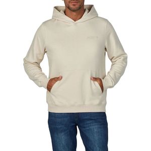 Jack & Jones Heren trui Broeken JWHINTERLUDE SWEAT HOOD SMU Fit Beige Volwassenen