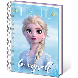 Disney Frozen 2 Sisters A5 Metallic Cover Notitieboek
