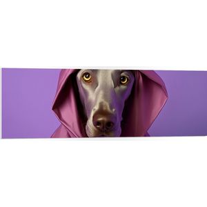 PVC Schuimplaat- Portret van Bruine Duitse Dog Hond in Roze Regenjas - 120x40 cm Foto op PVC Schuimplaat