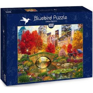 David Maclean - Central Park in New York (4000 stukjes, kunst puzzel)