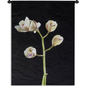 Wandkleed Planten op een zwarte achtergrond - Een tak met orchideeën op een zwarte achtergrond Wandkleed katoen 120x160 cm - Wandtapijt met foto XXL / Groot formaat!