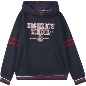 Harry Potter Kids - Hogwarts School Jongens & meisjes Trui met capuchon - meerkleurig - 164