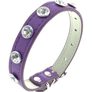 Honden halsband - Kleine honden - Leder - Paars - Met zirkonia stenen - Instelbaar van 19cm t/m 26,5cm - Let op: Meet eerst de hals van uw huisdier voordat u besteld !