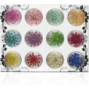 Dried Flowers Nail Art - 12 Kleuren - Drogen Nagelversieringen met Transparante Doos - Dried Flowers voor Nageldecoraties - Sieraden - Telefooncases - Verzamelalbums