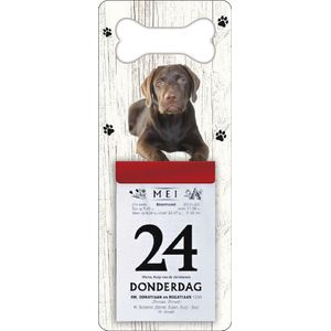 Scheurkalender 2024 Hond: Labrador bruin