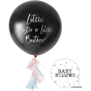 GingerRay Little sister or little brother - Gender reveal ballon - 90 cm - roze & blauwe confetti