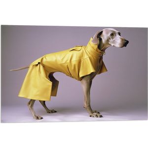 Vlag - Zijaanzicht van Duitse Dog Hond in Gele Regenjas - 75x50 cm Foto op Polyester Vlag