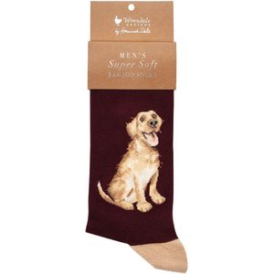 Wrendale Herensokken - Labrador - 'Good as Gold' Labrador Men's Socks - Sokken Hond