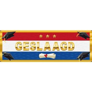 3x stuks stickers Geslaagd Nederlandse vlag 19,6 x 6,5 cm