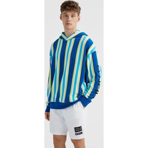 O'neill Truien BRIGHTS TERRY HOODIE