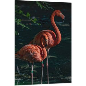 WallClassics - Vlag - Flamingo Duo tussen Groene Takken - 80x120 cm Foto op Polyester Vlag