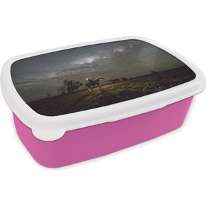 Broodtrommel Roze - Lunchbox - Brooddoos - Paard - Vrouw - Sterrenhemel - 18x12x6 cm - Kinderen - Meisje