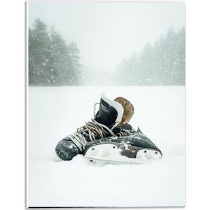 Forex - Schaatsen in de Sneeuw - 30x40cm Foto op Forex