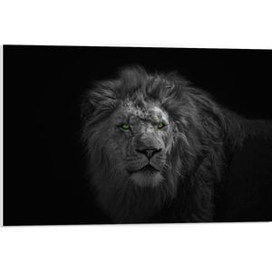 PVC Schuimplaat- Zwart - Witte Foto van Leeuw met Groene Ogen - 75x50 cm Foto op PVC Schuimplaat