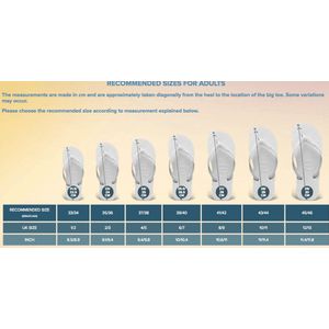 Havaianas - Brasil Logo - Slipper - Buttercream