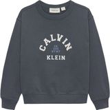 Calvin Klein Ib0ib02619 Sweatshirt