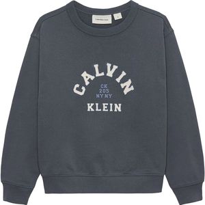 Calvin Klein Ib0ib02619 Sweatshirt