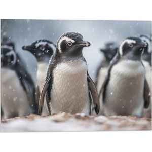 Vlag - Groep pinguïns waggelen door de sneeuw heen - 40x30 cm Foto op Polyester Vlag