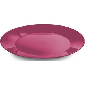 3x stuks ontbijt/diner bordjes hard kunststof 21 cm in het roze. Outdoor servies camping/picknick/verjaardag