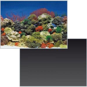 Superfish Deco Poster Nr 1 - 100 X 49 Cm - Aquarium Decoratie Achterwand