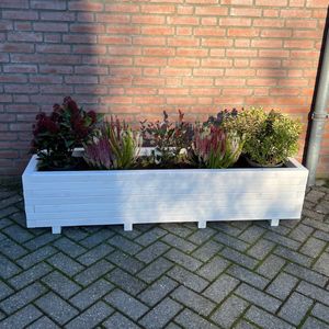 AMISHOUT - Plantenbak van hout 160x40x36 - wit | bloembak buiten