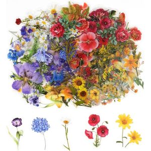 Titel: Sticker in paars, geel en rood