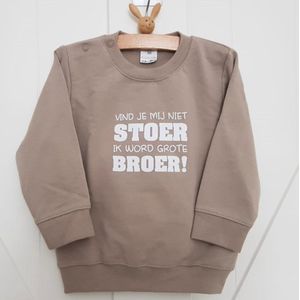 Sweater trui shirt voor kind - vind je mij niet stoer Ik word grote broer - beige zand - Maat 74 - Big bro brother - Familie uitbreiding - Zwangerschap aankondiging hoera stoer bekendmaking baby
