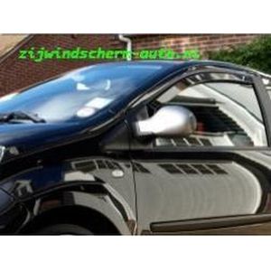 Zijwindscherm Citroen C4 Picasso 5deurs va. 09.2006