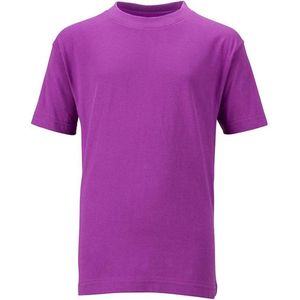 James and Nicholson Kinderen/Kinderen Basic Tee (Paars)