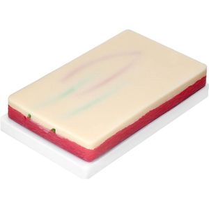 Allecto plus - Venapunctie- en injectietrainingpad met aderen en bloedterugstroom - Medische studenten en verpleegkundigen accessoires