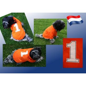 Honden t-shirt oranje maat 2. 50cm