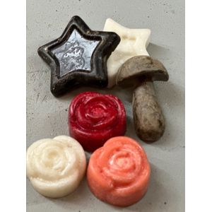 10x Amberblokje - Mix Pakket - 10 Stuks - Amber - Blokje - Geurblokjes - Cadeauset