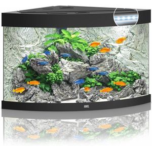 Juwel Trigon 190 Aquarium - Zwart - 190L - 70 x 70 x 60 cm