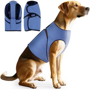 Multifunctionele masserende badborstel - Geïntegreerde zeepdispenser en borstel - Druk om te exfoliëren - Reinigt diep en verwijdert dode huidcellen - Ergonomische antisliphandgreep - Lichaamsverzorging voor thuis en badhulpmiddel - Gebroken wit