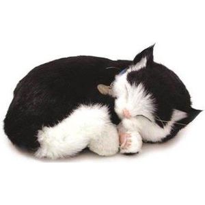 Perfect Petzzz - Soft - Zwart Witte Kitten