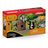 schleich WILD LIFE Speelfigurenset - Wasbeer en het Stinkdier hebben Speelplezier met de Noot - Kinderspeelgoed voor Jongens en Meisjes - 3 tot 8 jaar - 5 Onderdelen - 42532