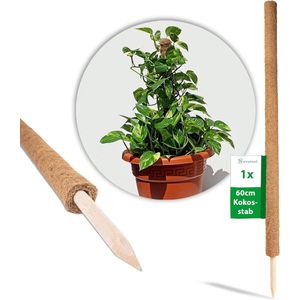 Plantenstok kokos 60 cm I Ø 45 mm I uitschuifbaar I natuurlijke kokosvezel I plantenhouder I trellisstok I mosstok kokosstok